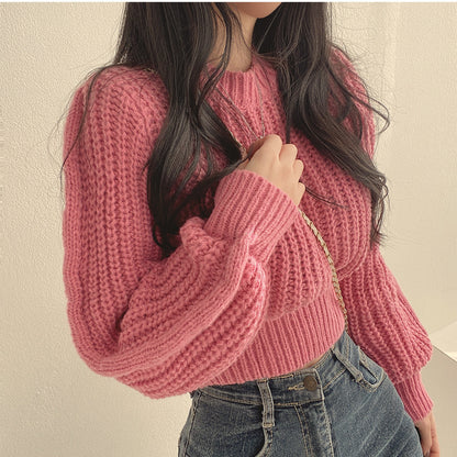 Classic Designed Sweater