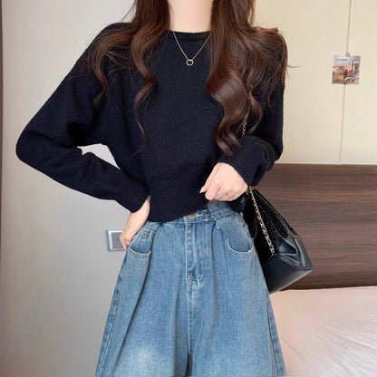 Classic Designed Sweater